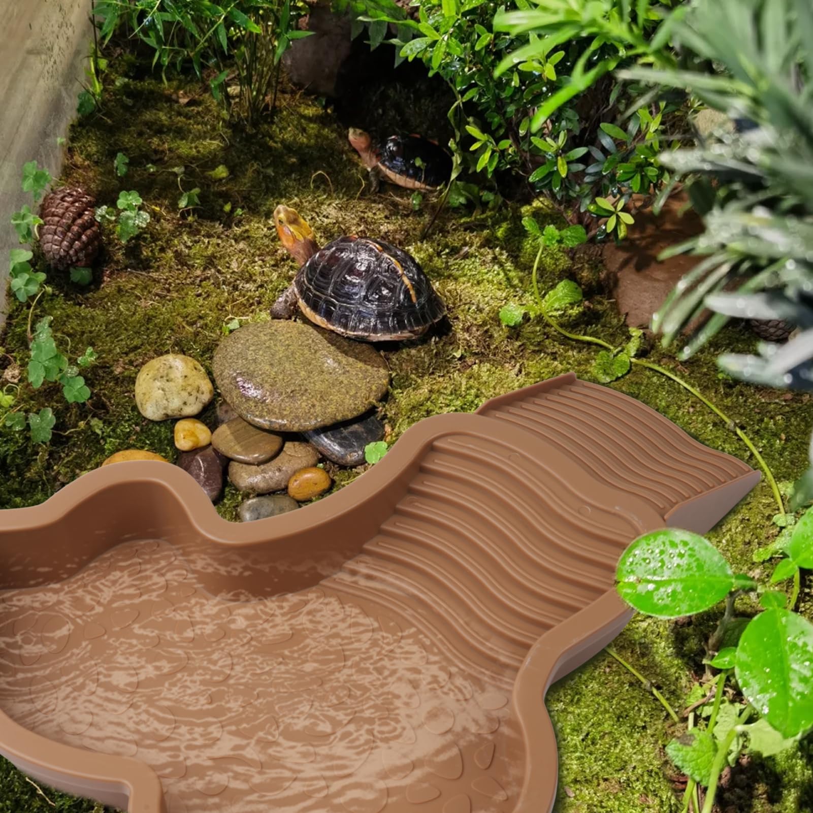 KKONHII bac-polyvalent-reptile: convient aussi pour petits animaux.