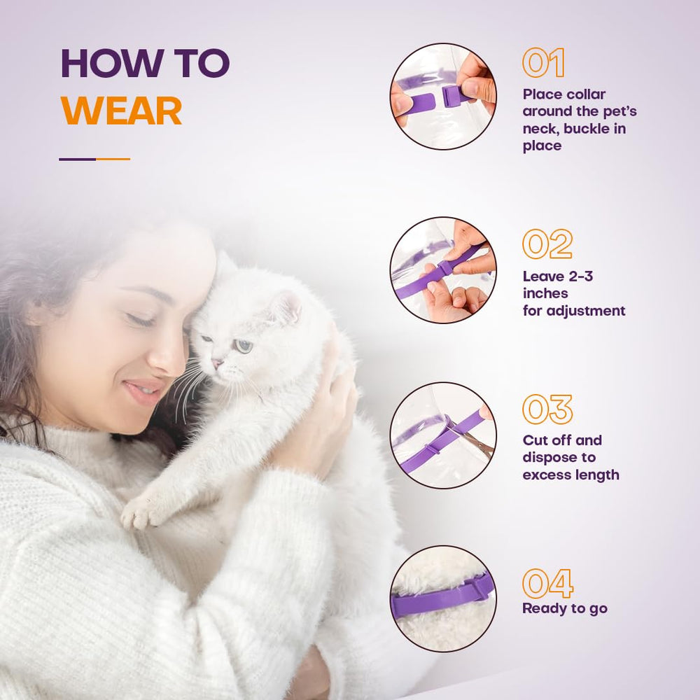 Chat en voyage portant le collier Klioak, voyage plus serein.