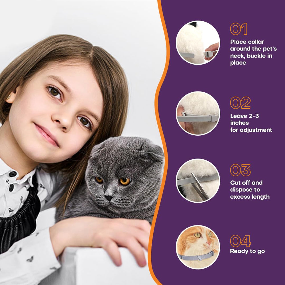 Klioak collier pratique pour la vie quotidienne des chats.