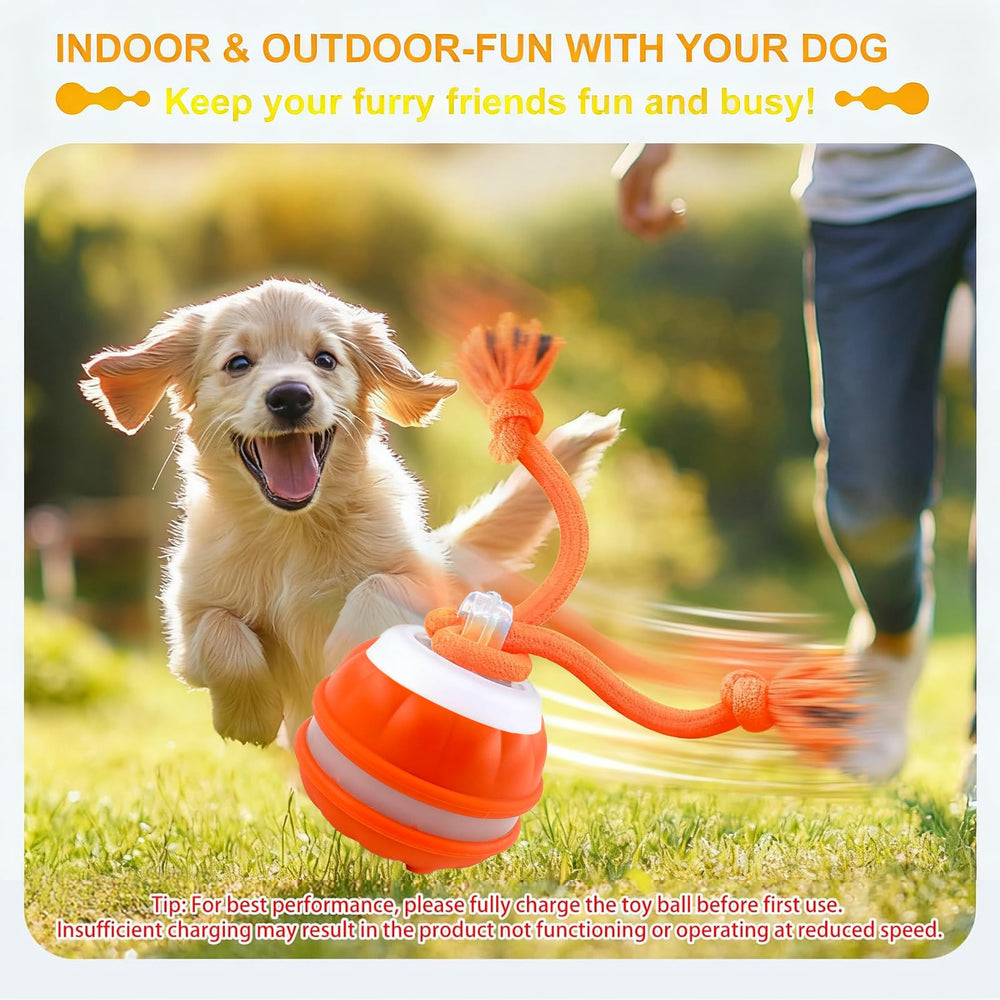 Klursy balle interactive utile pour divertir et stimuler votre chien au quotidien.
