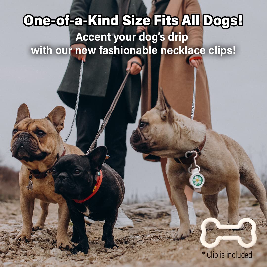 Design mignon et élégant sans produits chimiques pour chien.