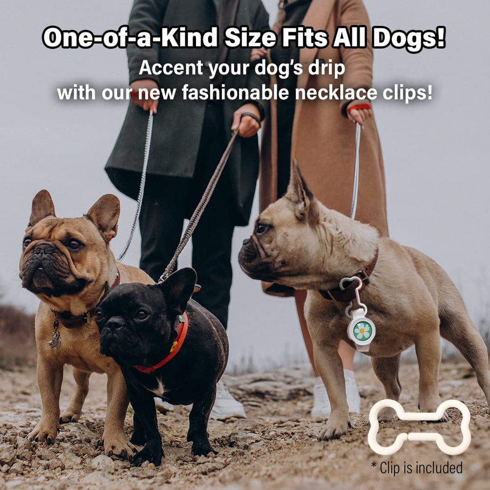 Design mignon et élégant sans produits chimiques pour chien.