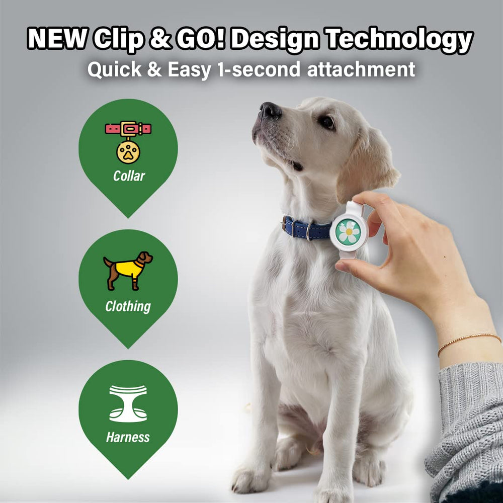 KN FLAX Bug-Off Clip sur collier chien montre une utilisation extérieure.