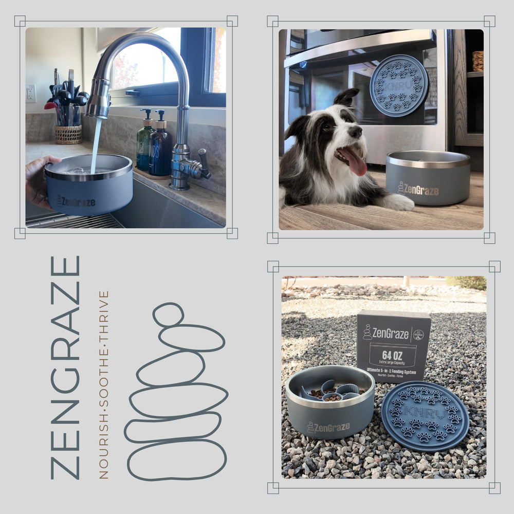 Conception durable en acier et silicone KNRV Commerce pour usage quotidien.