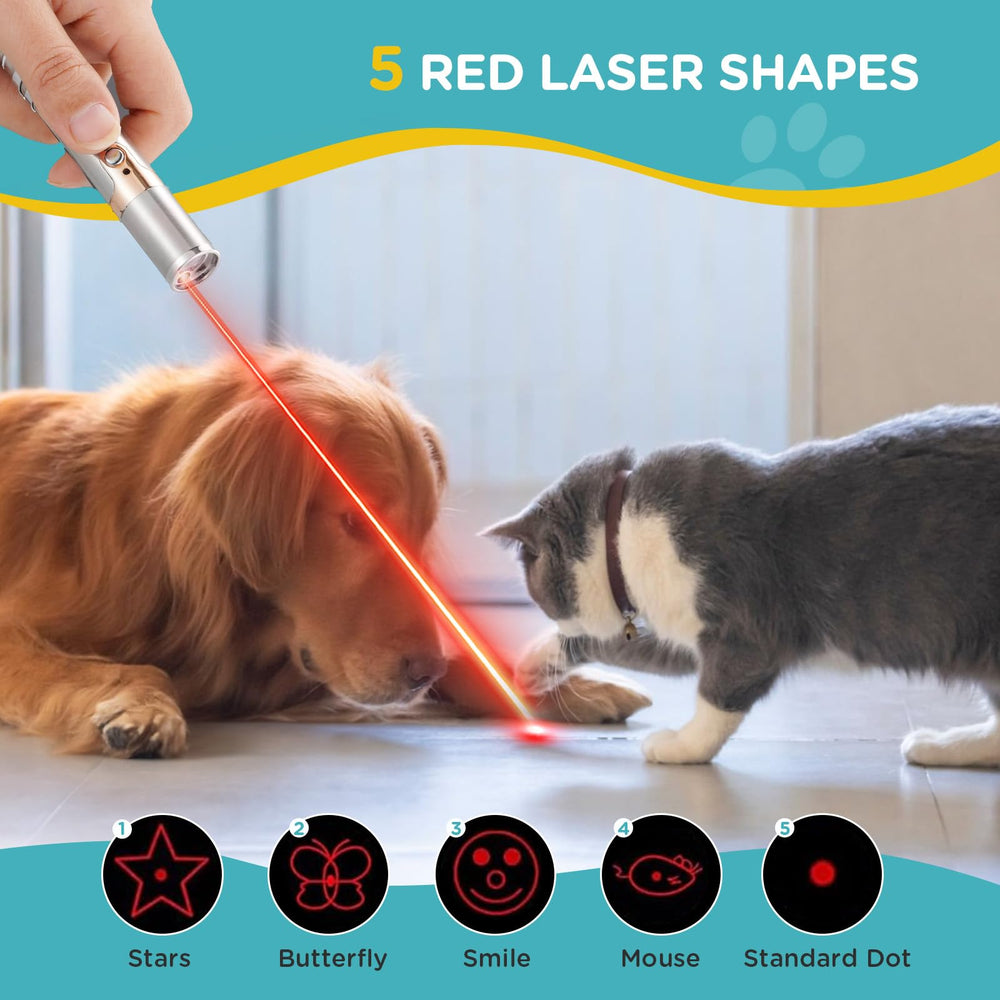 Jouet Koackl pour chat avec lumière violet, stimule l’attention et le jeu intérieur.