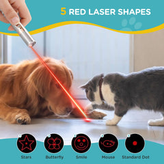 Jouet Koackl pour chat avec lumière violet, stimule l’attention et le jeu intérieur.