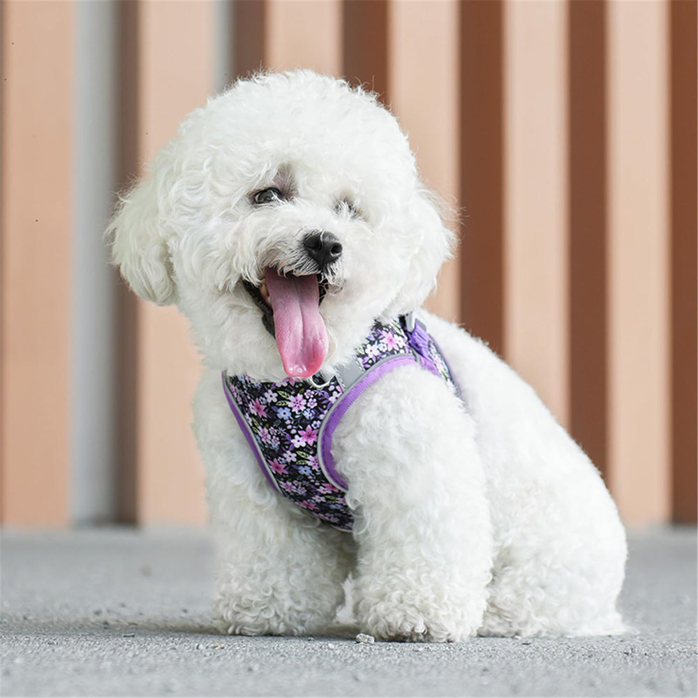 Laisse KocaPlye de 1,5 m pour une gestion fluide du chien.