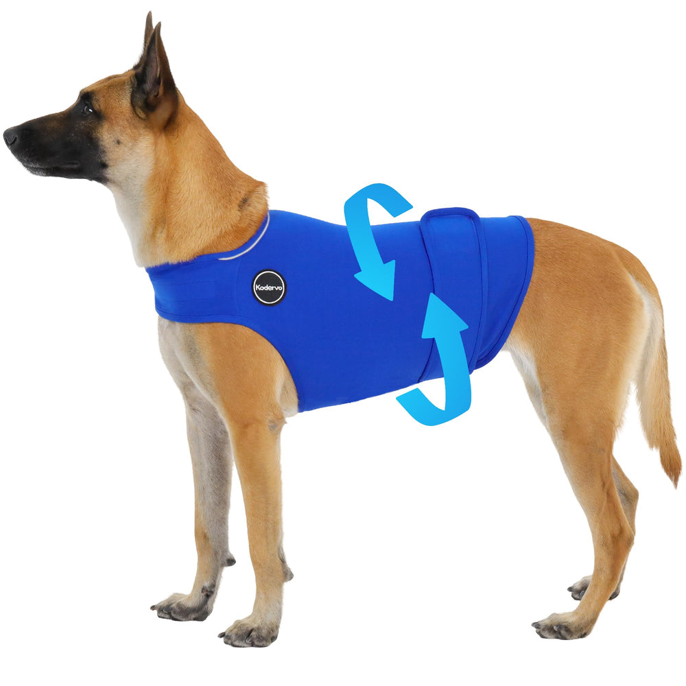 Kodervo gilet anti-anxiété chien, vue avant, favorise le calme sans médicament.