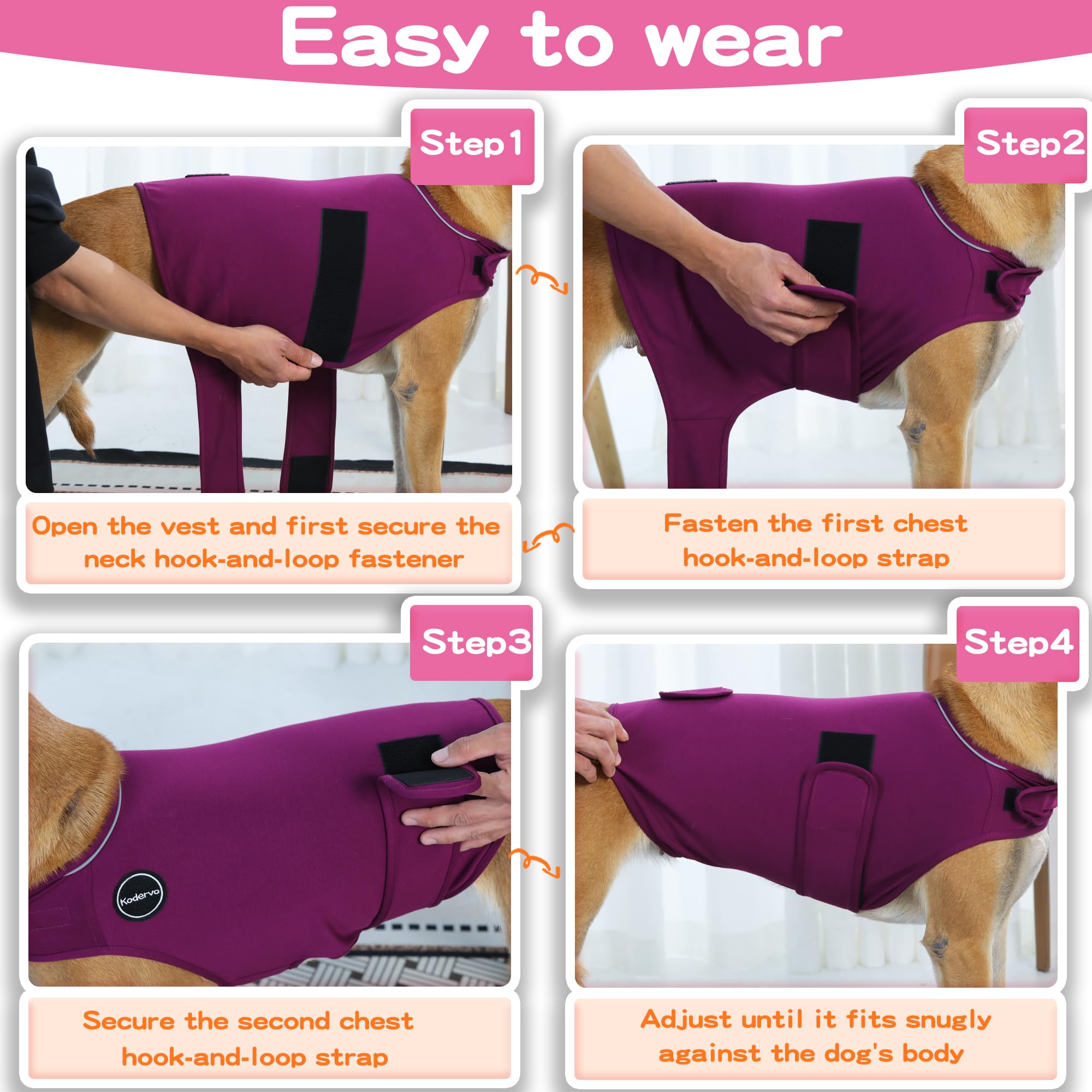 Kodervo gilet anxiété chien – usage quotidien et réduction potentielle du stress.
