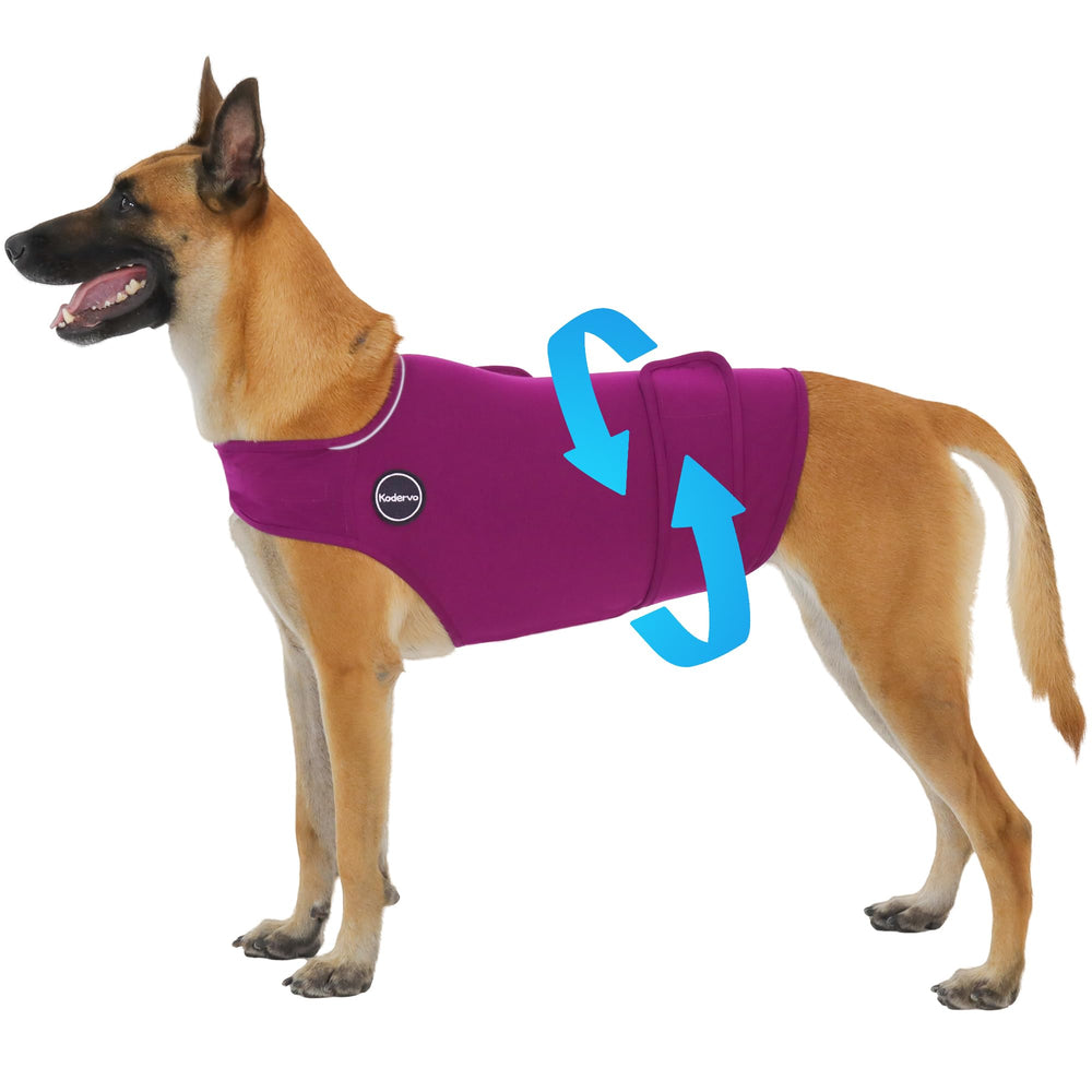 Kodervo gilet chien anti-anxiété, texture douce du tissu pour un confort quotidien.