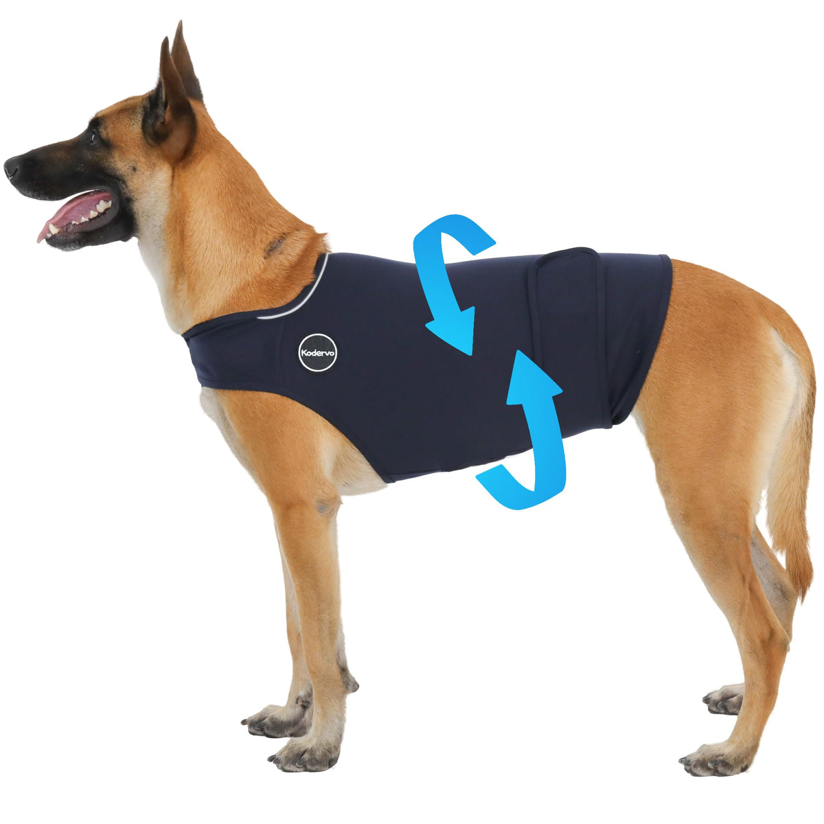 Veste anxiété Kodervo vue avant, soutien doux pour calmer le chien lors des orages