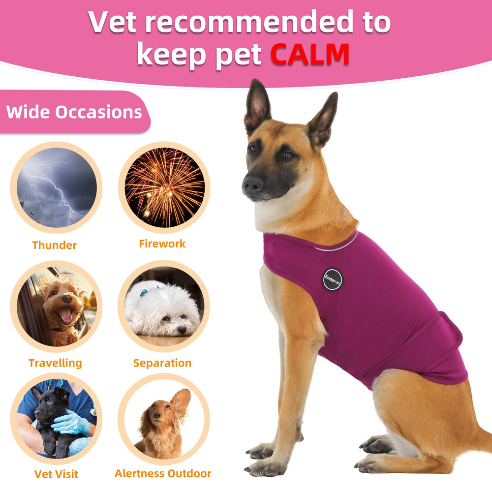 Design breveté Kodervo avec faible bruit pour ne pas surprendre le chien.