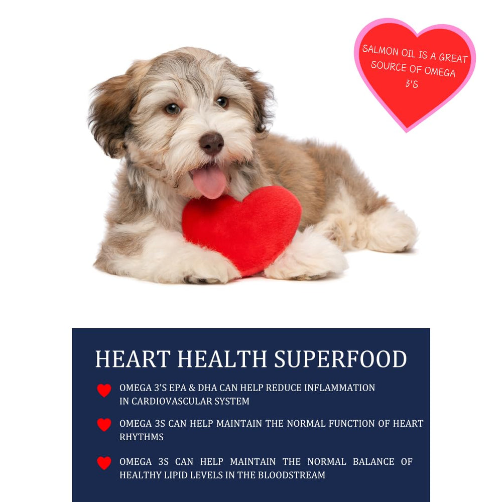Kodiak Naturals huile saumon sauvage – dosage précis pour chiens et chats.
