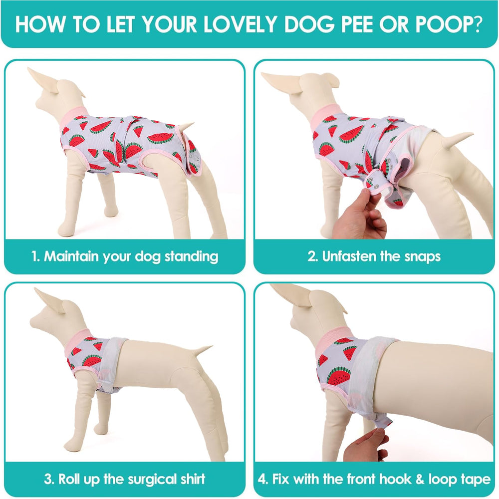 KOESON Combinaison chien multi-fonctions après chirurgie et usage quotidien.