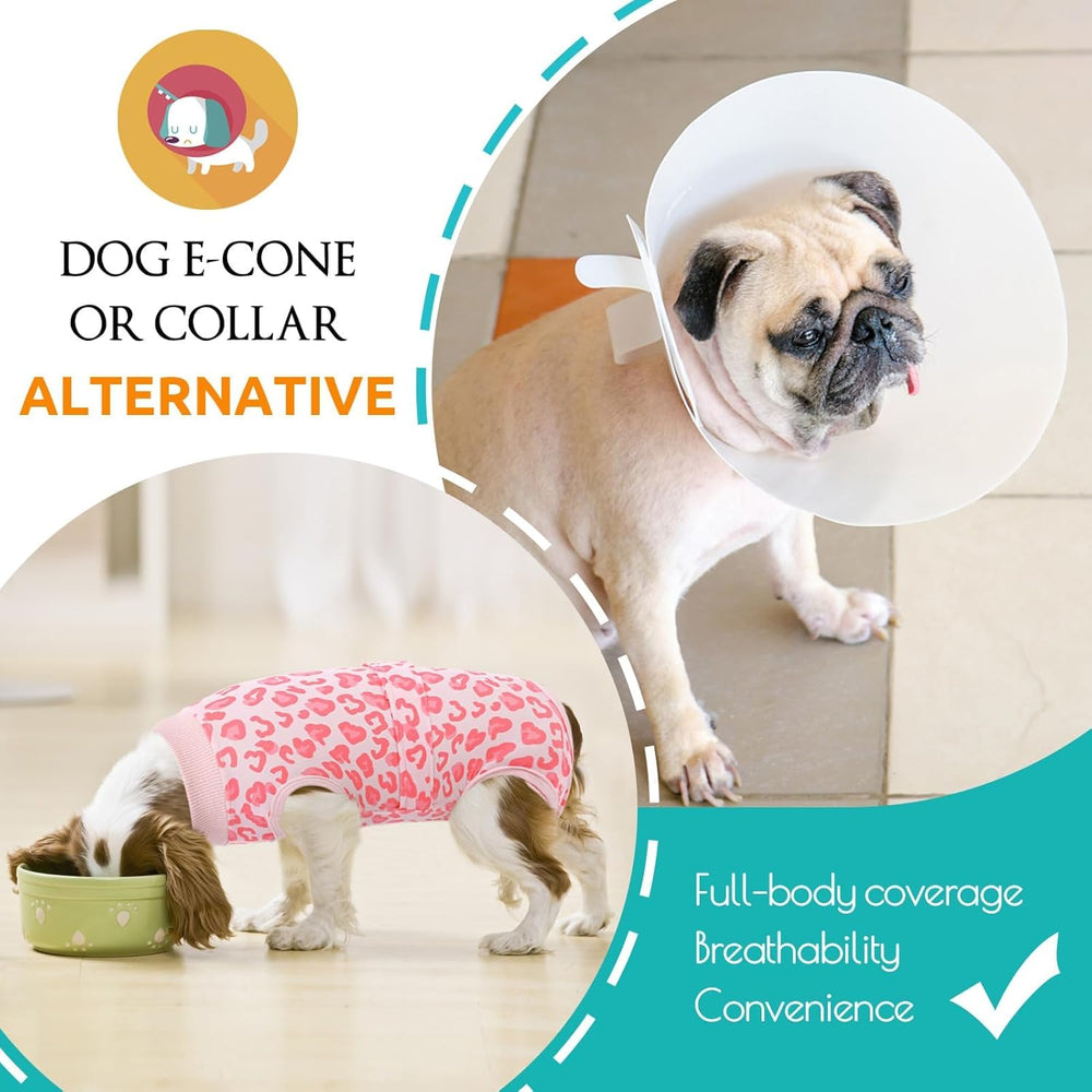 KOESON Combinaison chien récupération abdomen, protection ciblée et liberté de mouvement.