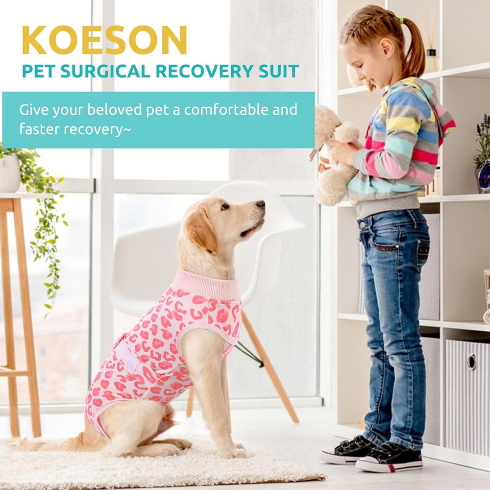 KOESON Protection ventre chien post-op, couverture abdominale adaptée.