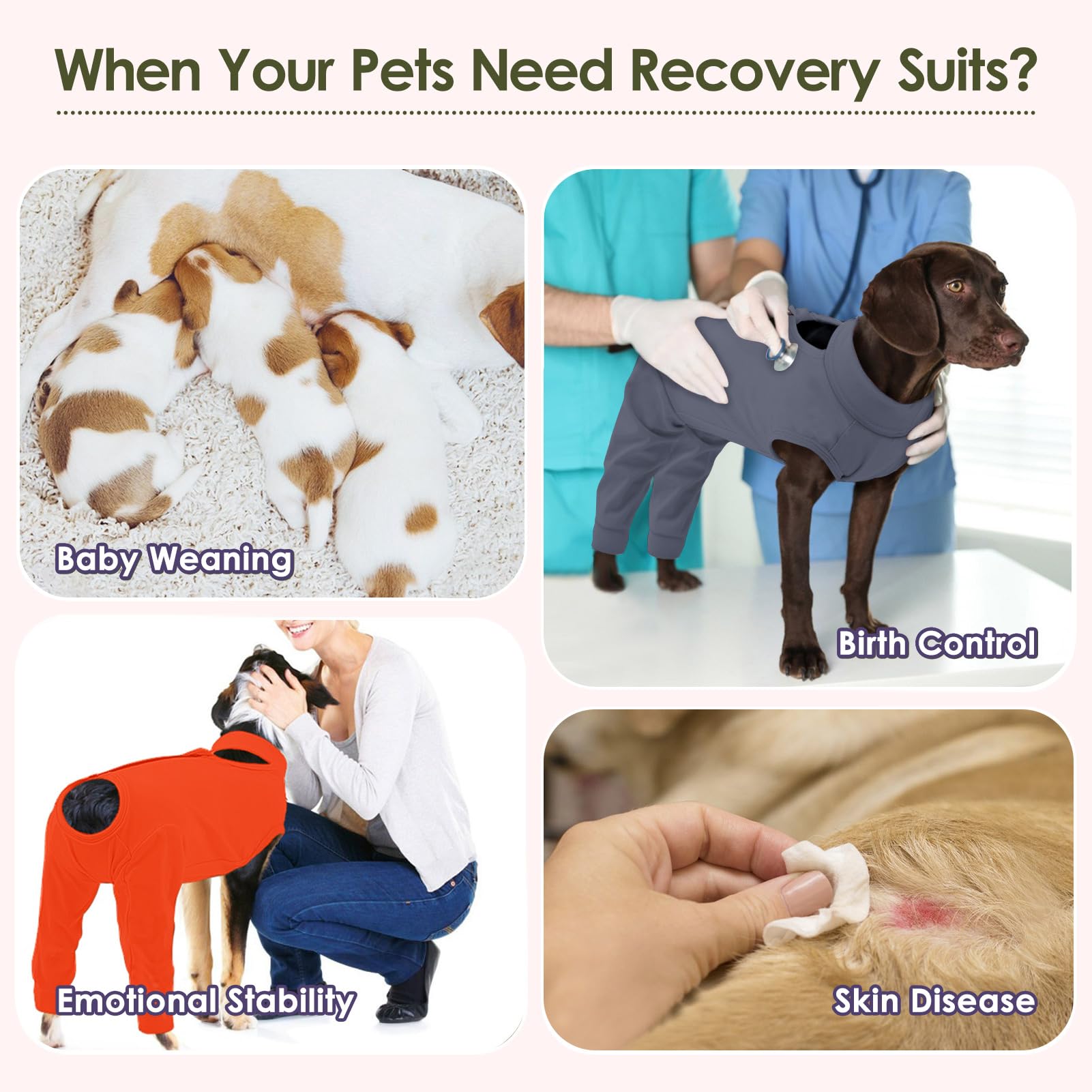 KOESON Recovery Suit anti-licking chien, réduction potentielle du léchage et des frottements.