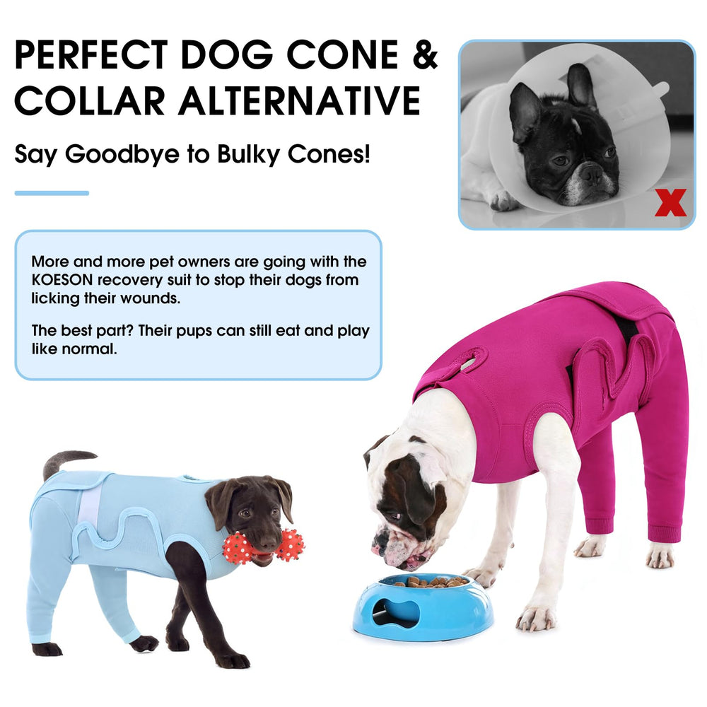 KOESON sept tailles XS à 3XL pour chiens de toutes tailles