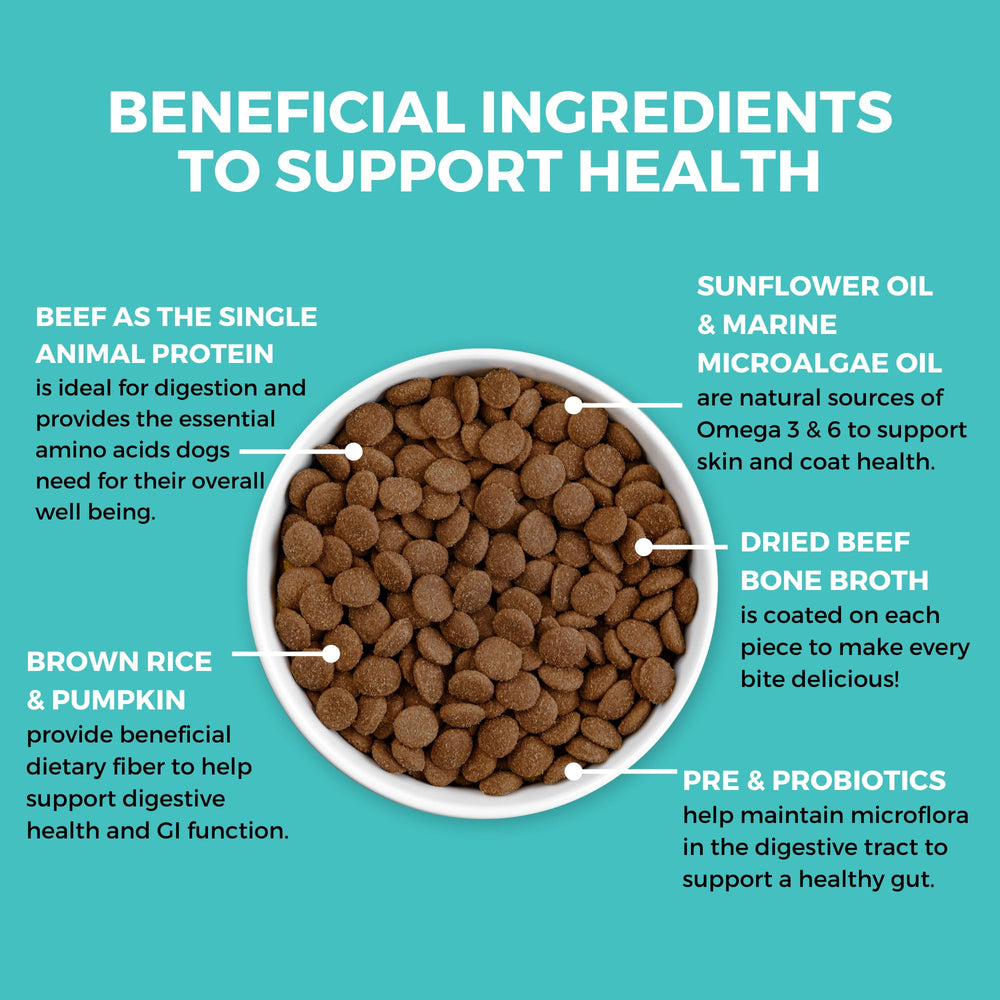 KOHA Bland Diet boeuf, citrouille et riz brun, repas adapté estomac sensible