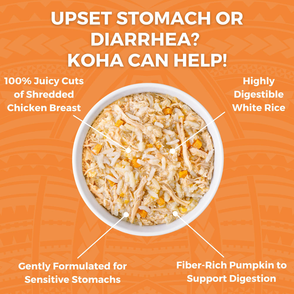 KOHA Bland Diet chat – aide à la digestion avec poulet et riz
