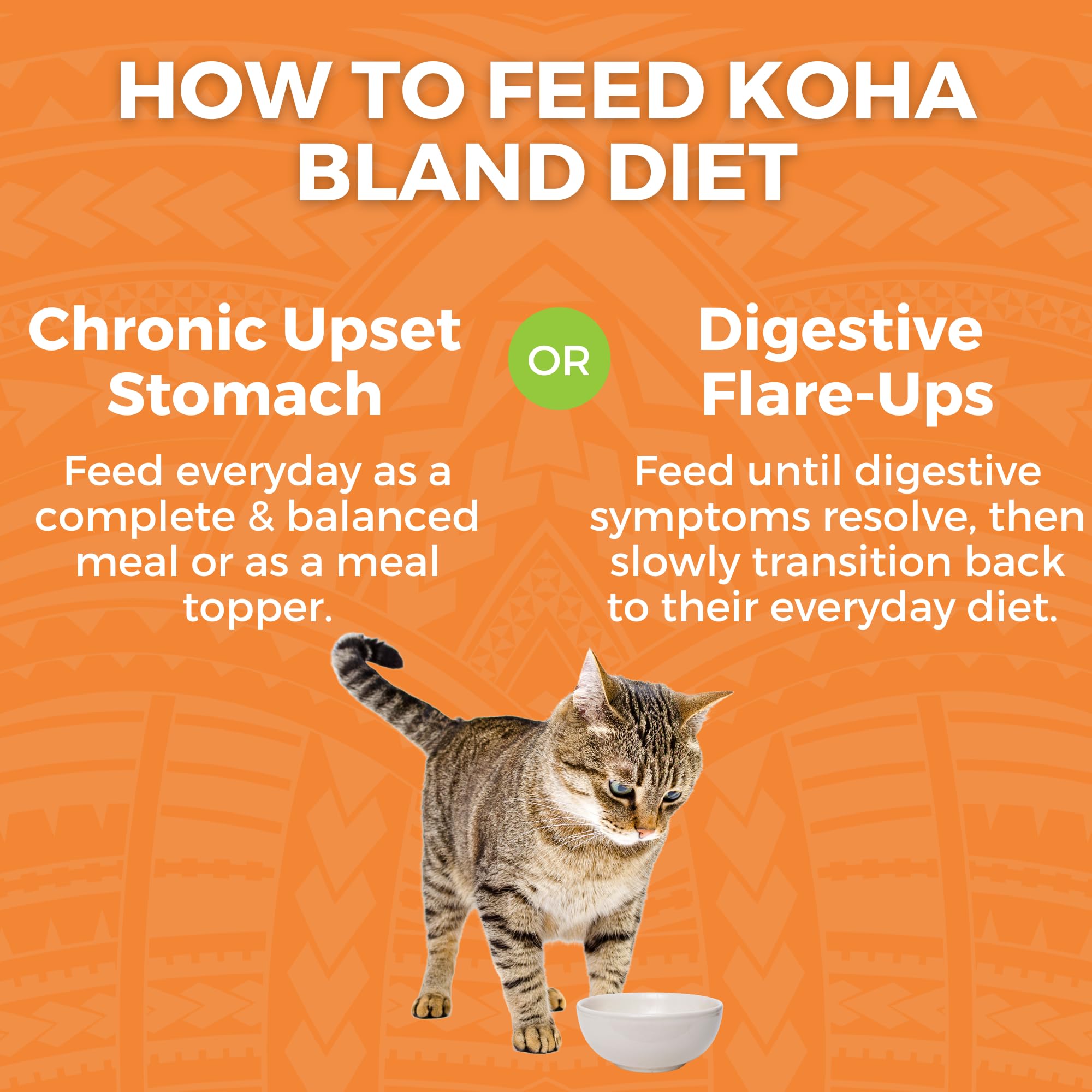 KOHA Bland Diet chat – 12 sachets de 2,8 oz pour repas faciles