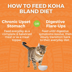 KOHA Bland Diet chat – 12 sachets de 2,8 oz pour repas faciles