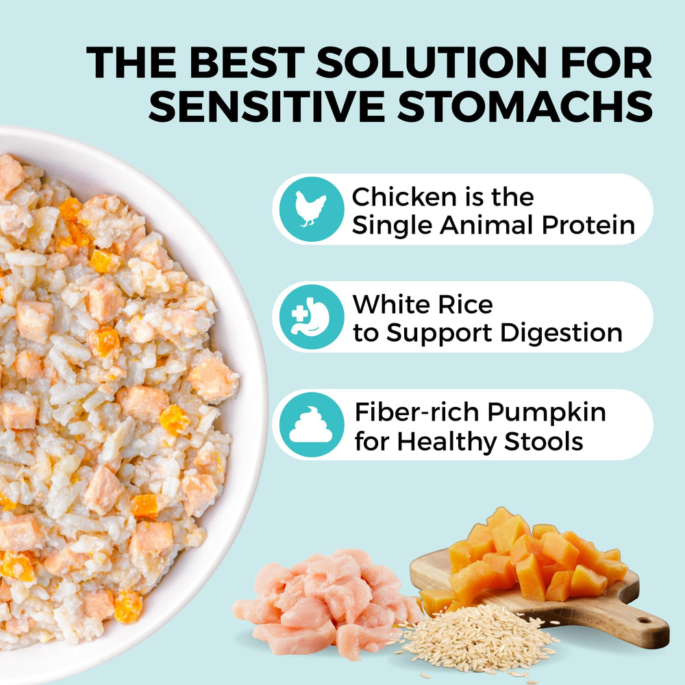 KOHA Bland Diet texture humide en gros plan, favorisant une digestion douce