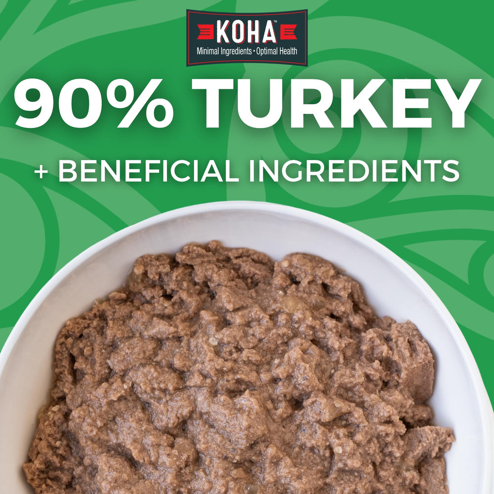 KOHA dinde entrée chien, texture viande visible, aide à un repas digeste et simple.