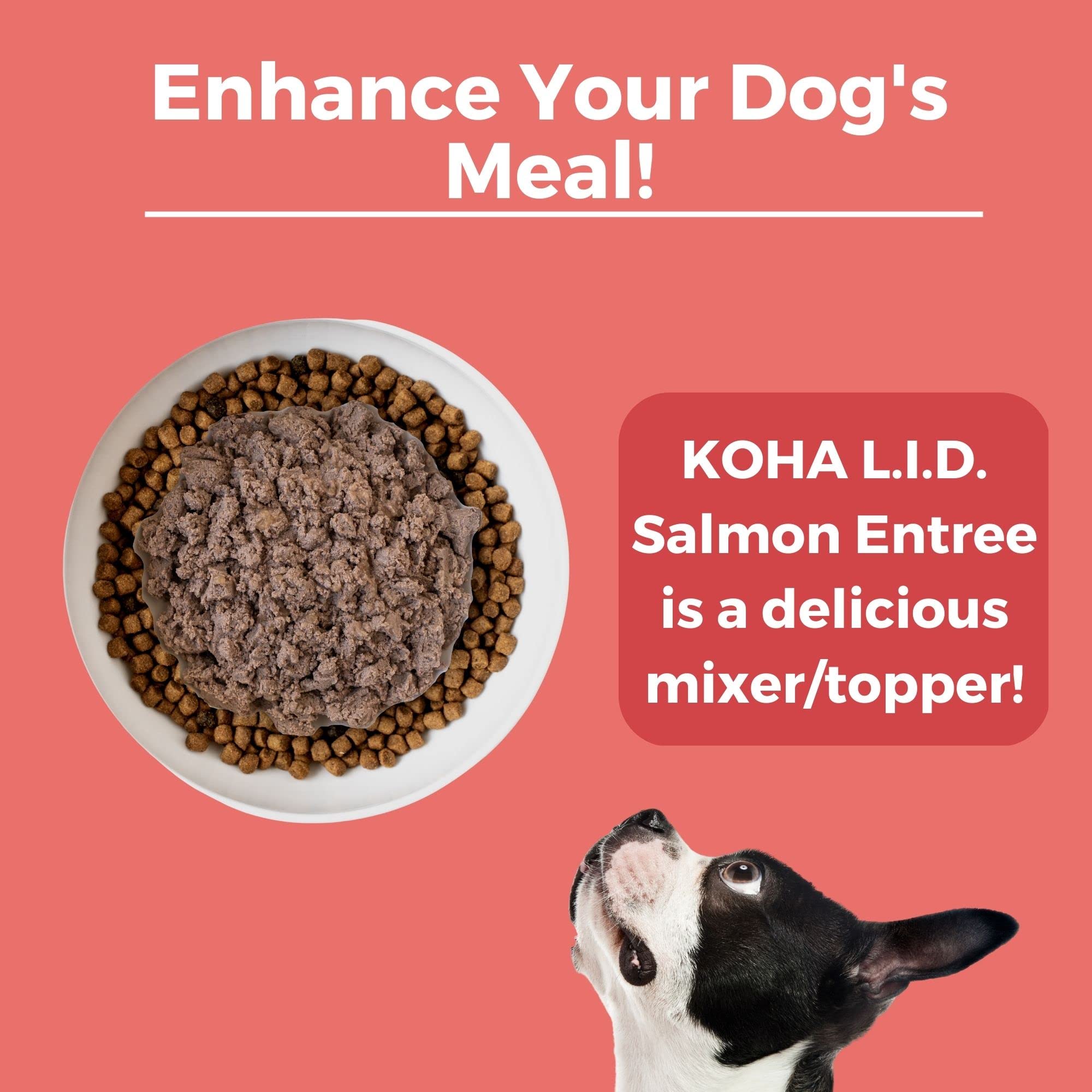 KOHA etiquette-nutrition-saumon-entree, étiquette lisible avec ingrédients simples.