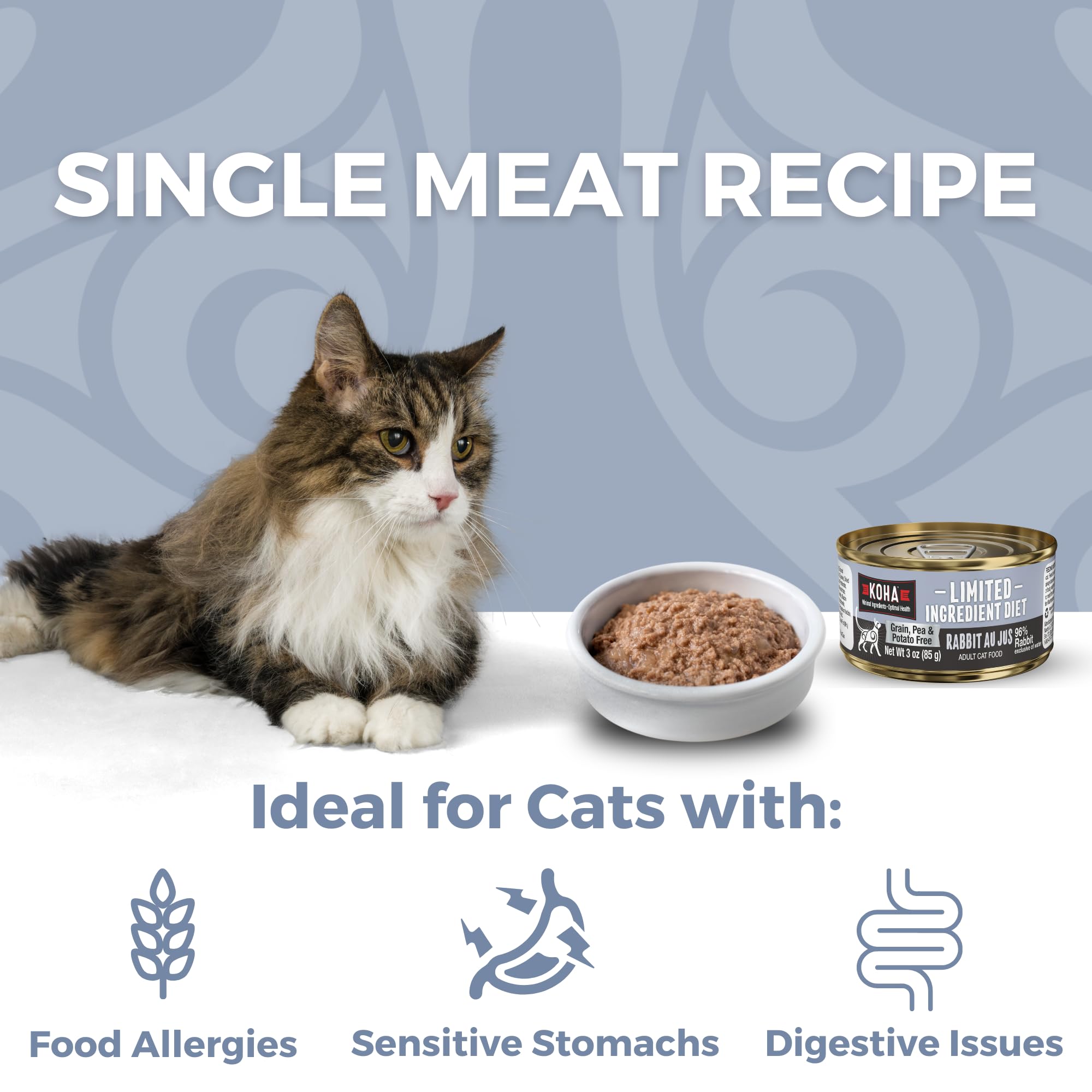 KOHA pâté chat lapin une seule viande, simplicité nutritive.