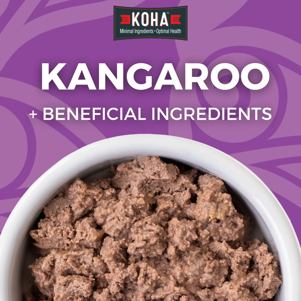 KOHA paté kangourou chat, texture onctueuse facilitant la digestion.