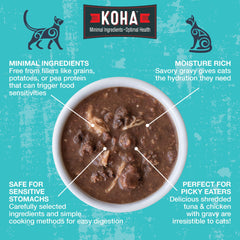 KOHA Poké Bowl chat dégustant thon et citrouille, texture humide et gourmande.