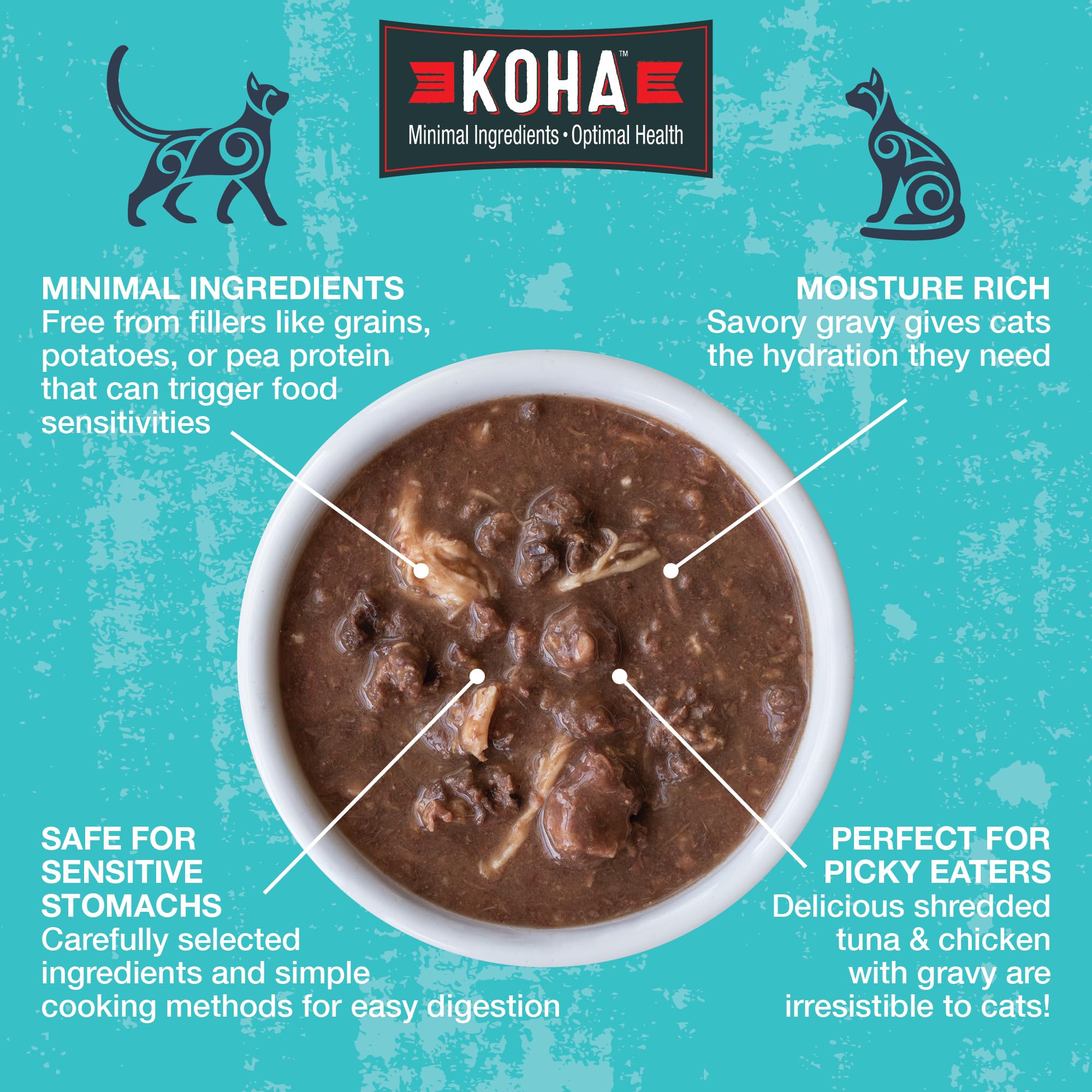 KOHA Poké Bowl chat: thon et potiron, saveur réconfortante et digestibilité potentielle.