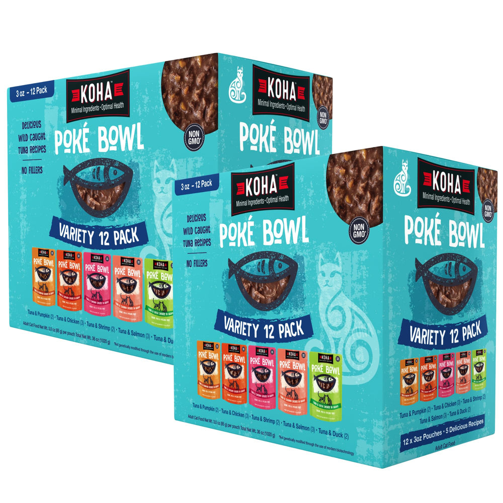 KOHA Poké Bowl chat dégustant thon-saumon, pour éveiller l'appétit.