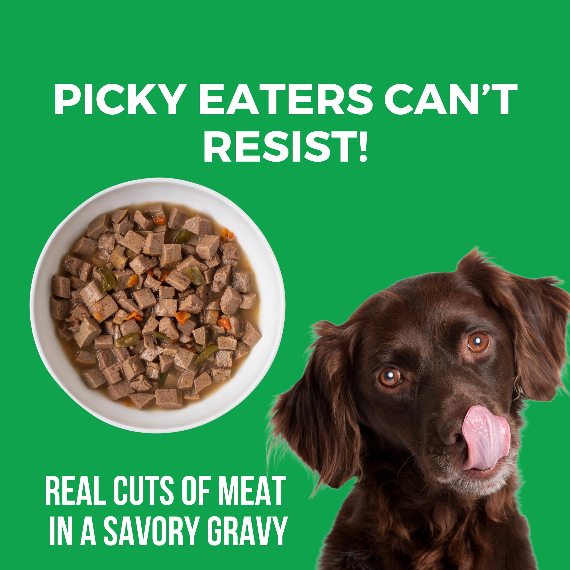 Ragout onctueux KOHA avec sauce, repas réconfortant pour chien