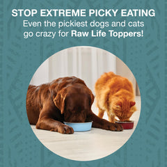 KOHA Raw Life Topper cerf et venaison morceaux secs, riches en protéines.