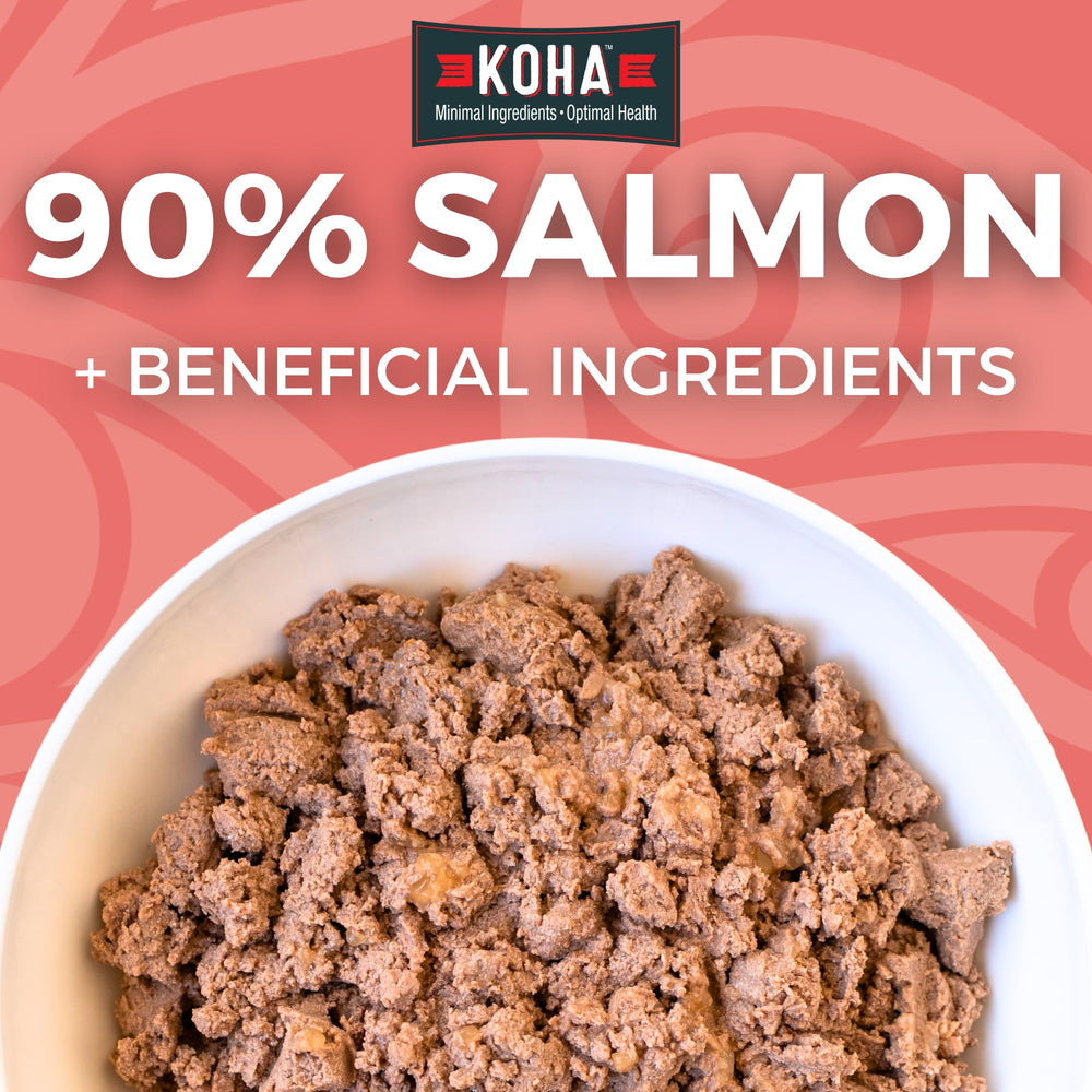 KOHA saumon entrée pate close-up, texture tendre et appétit.