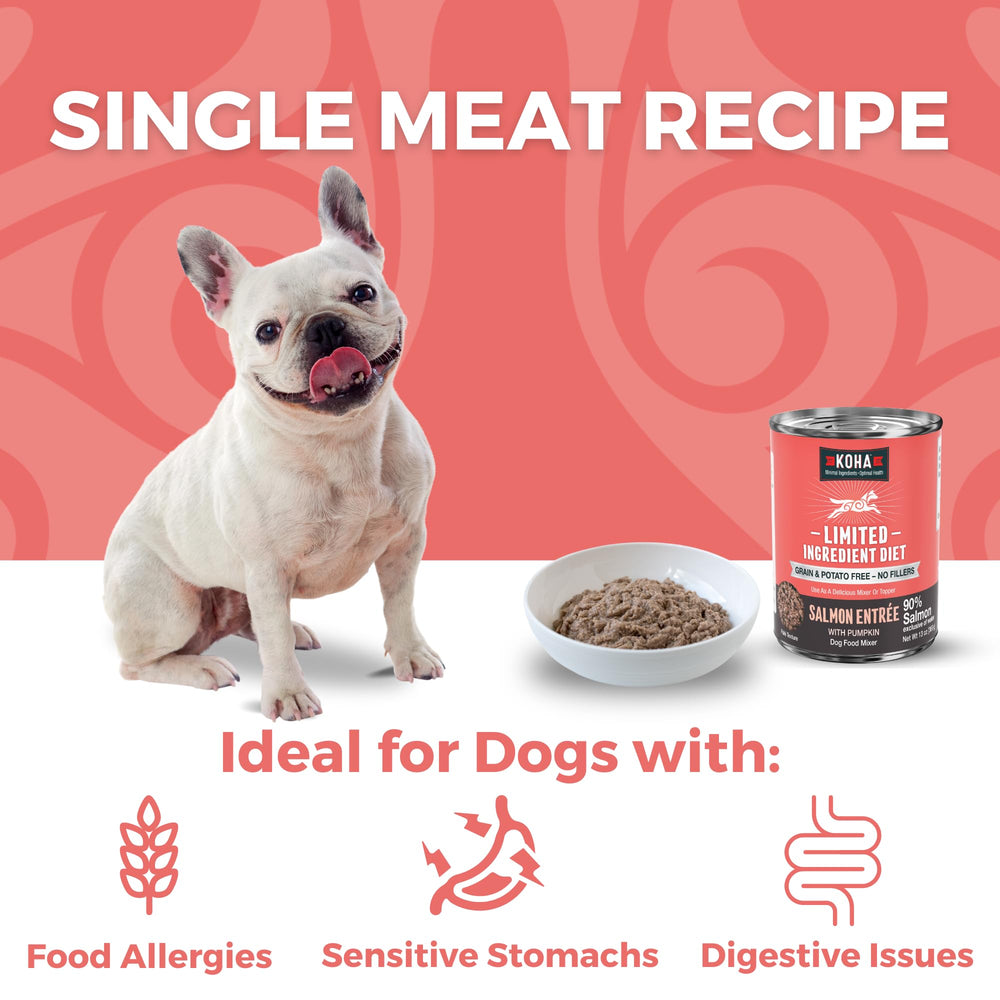 KOHA saumon entrée pate servie chien, repas satisfaisant pour chien.