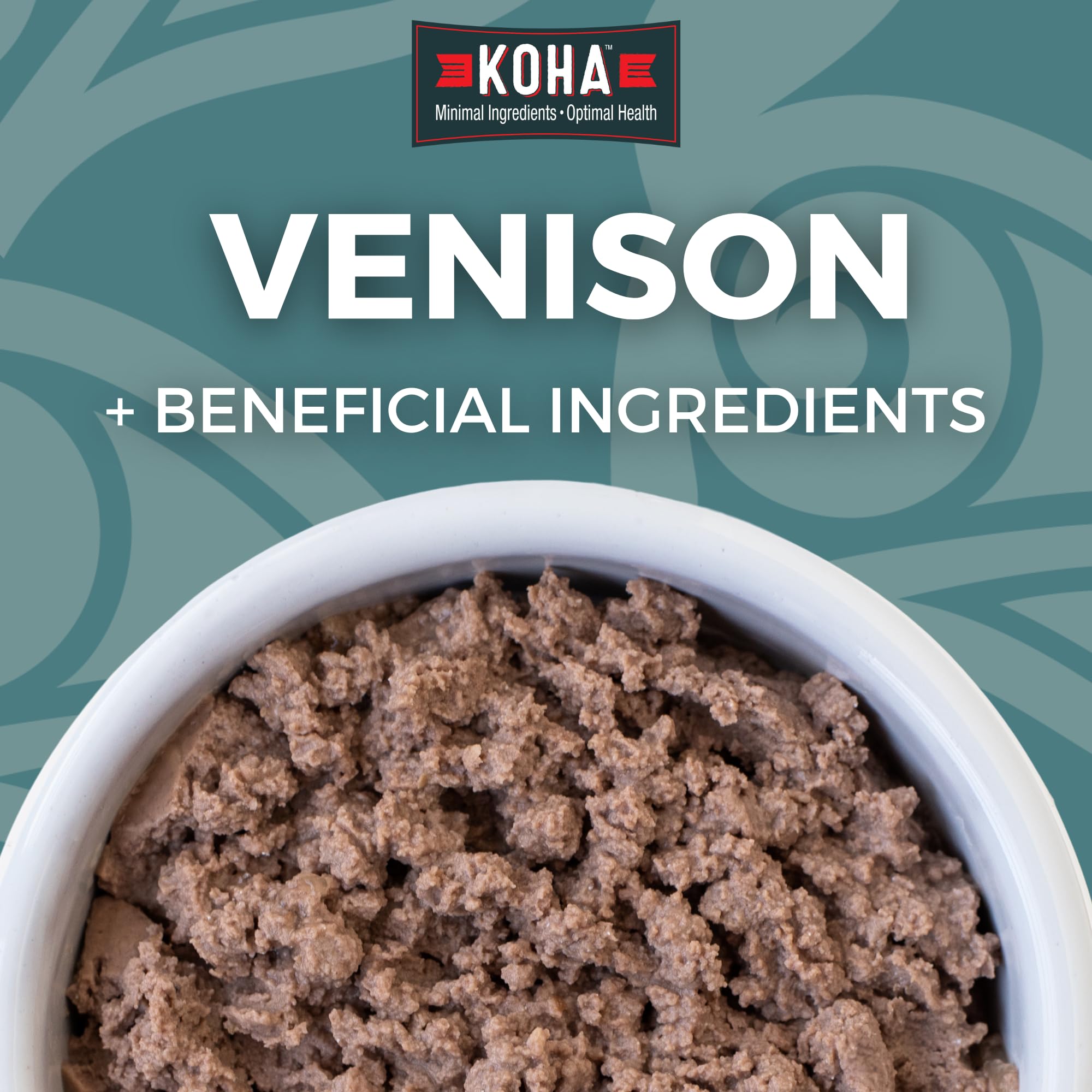 KOHA venaison pâté chat avec citrouille, favorise une digestion douce et appétence naturelle.