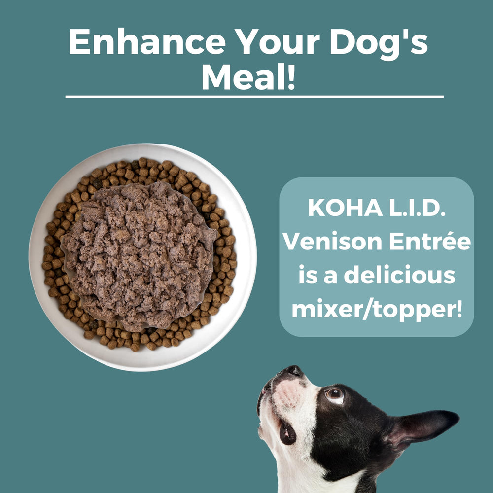 KOHA Venison Entrée contient du potiron, soutenant la digestion en douceur.