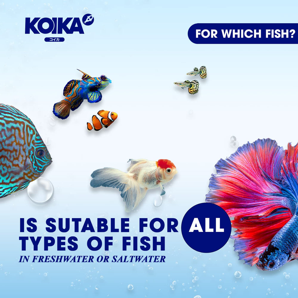 KOIKA BACM: incorporé à l’alimentation pour une nutrition équilibrée.