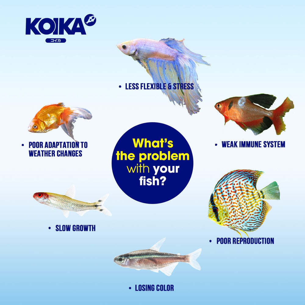 KOIKA BACM: étiquette produit affichant les ingrédients probiotiques naturels.
