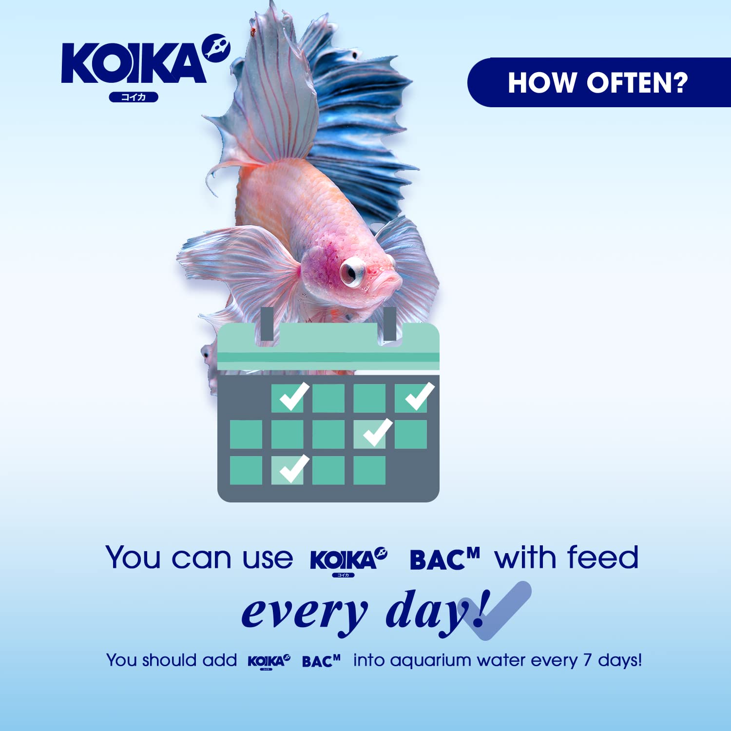 KOIKA BACM: odeur agréable qui attire les poissons sans danger.