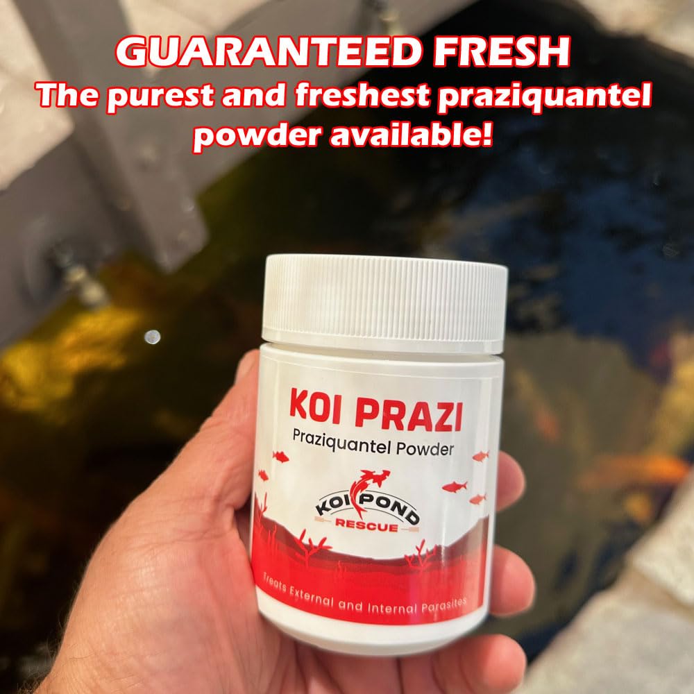 KOI POND RESCUE KOI PRAZI doseuse incluse, facilité dosages.