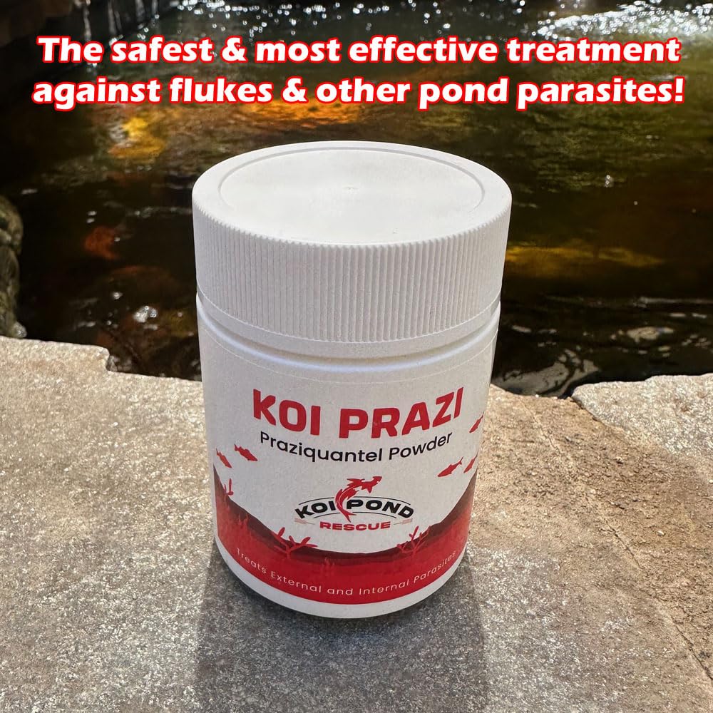 KOI POND RESCUE KOI PRAZI sans-changement-eau, pratique d'utilisation.