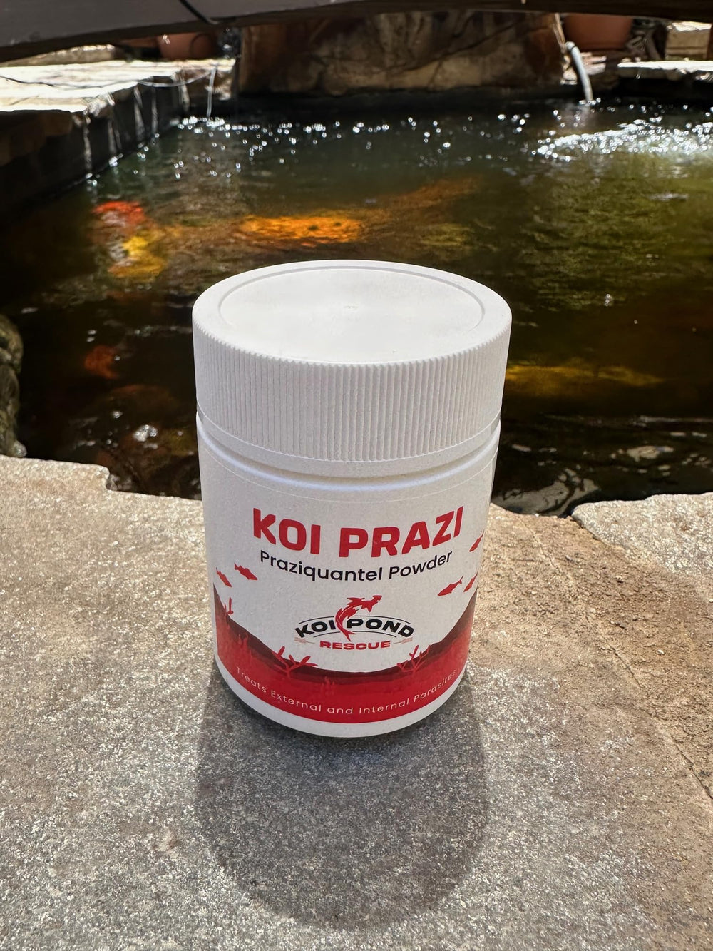 KOI POND RESCUE KOI PRAZI prévention au printemps et à l'automne.