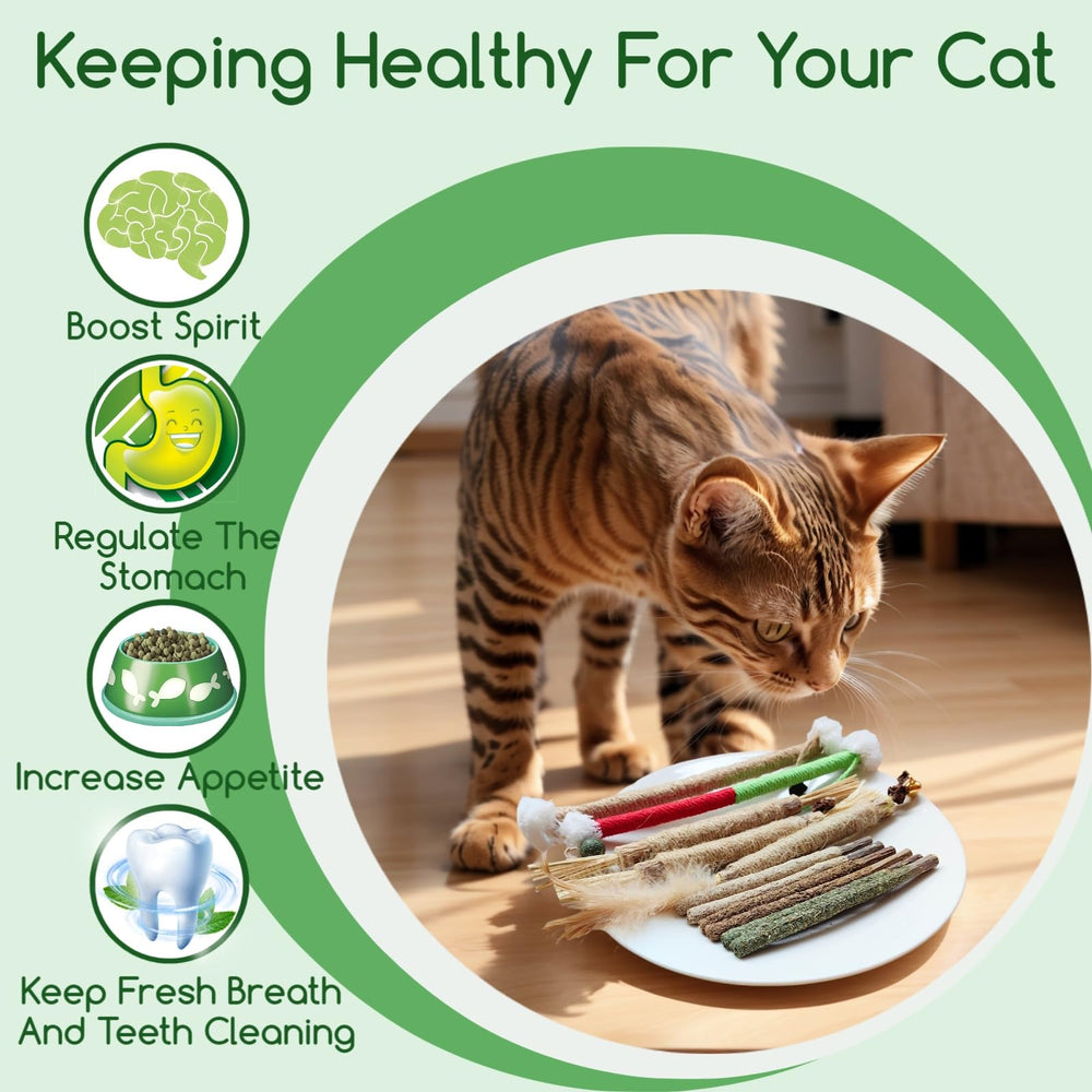 Kojude Ensemble Bâtons Silvervine: distraction active et exercice dentaire potentiel pour chats.