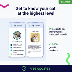 Koko Genetics analyse ADN chat — comprendre les origines et les traits de votre chat.