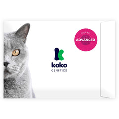 Koko Genetics test ADN chat avancé avec aperçus de résultats détaillés
