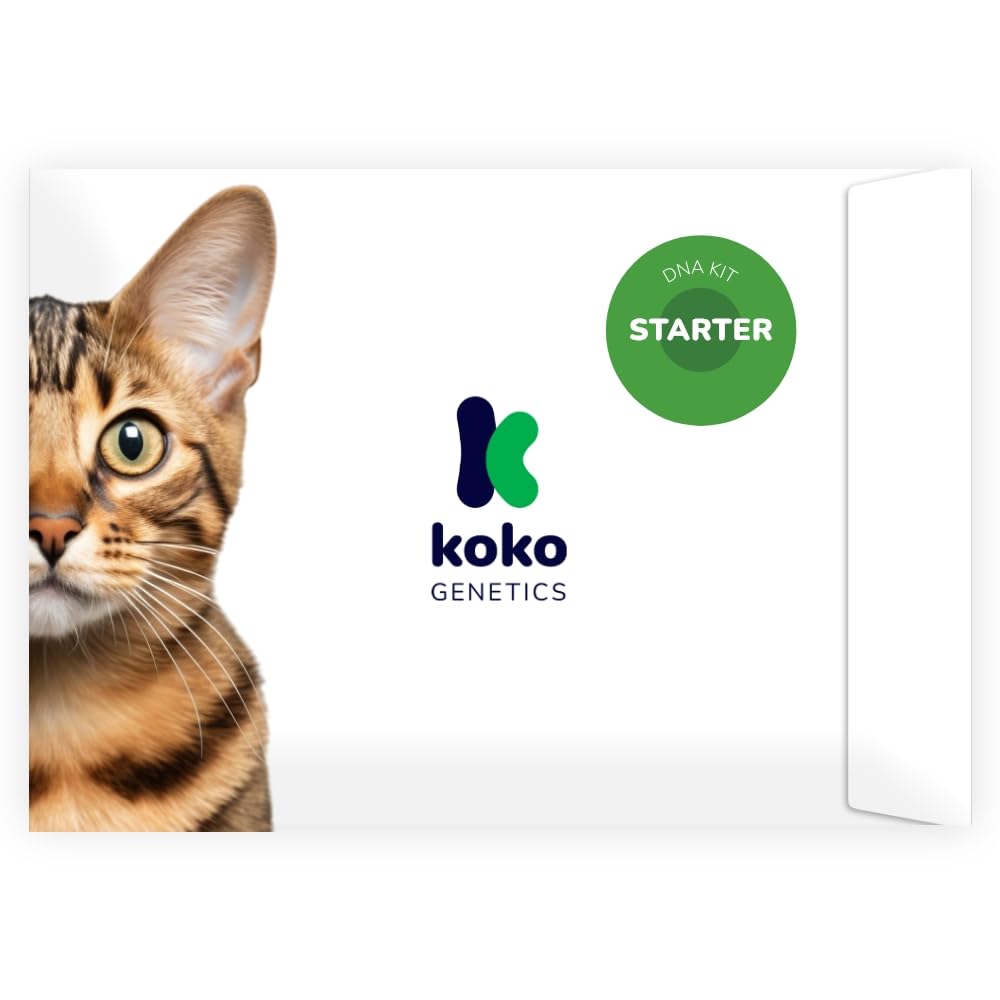 Koko Genetics : ensemble démarrage test chat, facile à recevoir et démarrer l'analyse ADN.